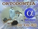 ORTODONTIA ESPECIALIZADA - ALPHA ODONTO DE NATAL - (84) 3081-0021